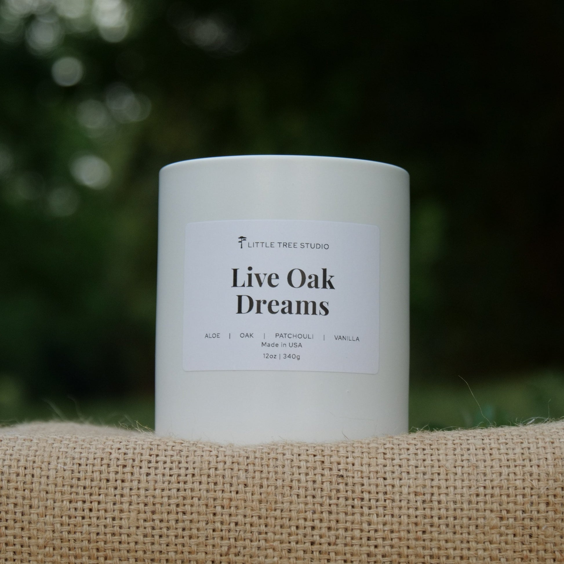 Live Oak Dreams Candle