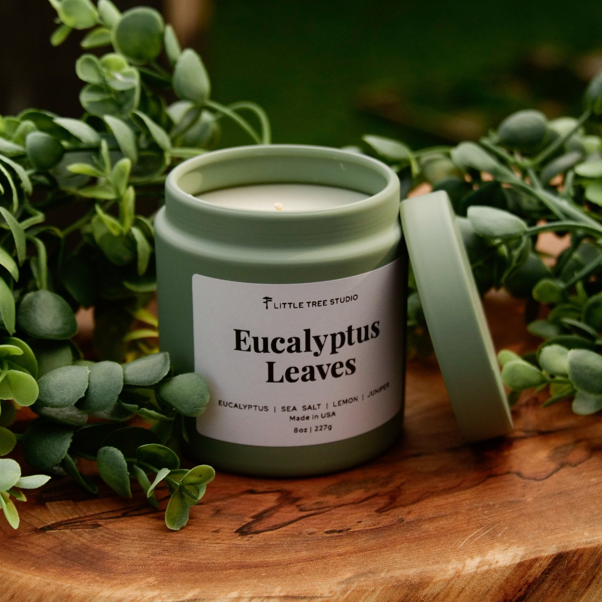 Jar of 'Eucalyptus Leaves' on a wooden surface with greenery around
